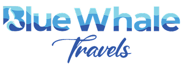 Blue Whale Travels
